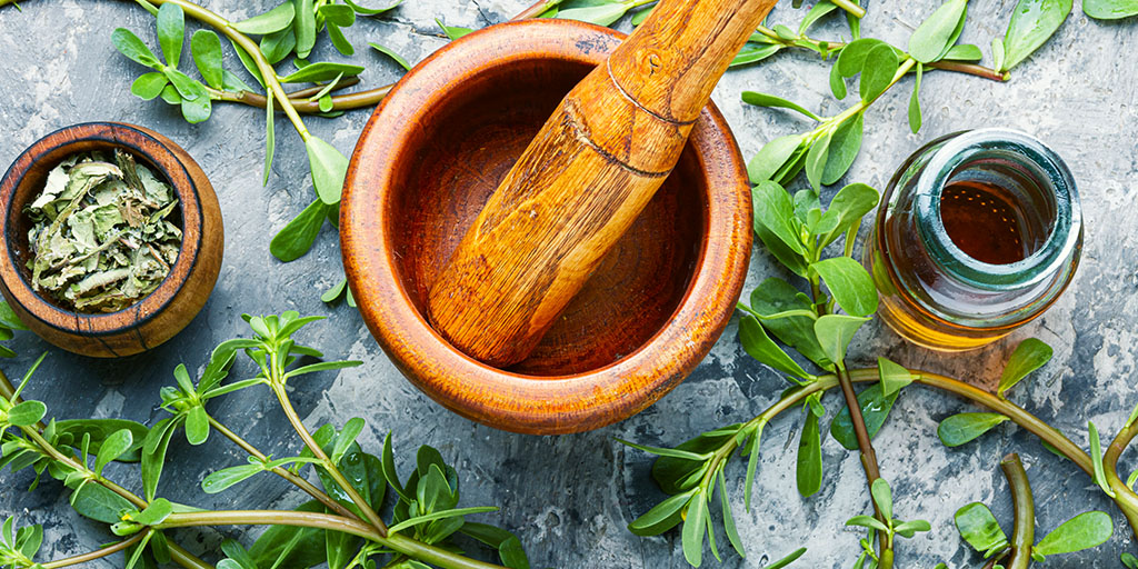 Tıbbi ve Aromatik Bitki Yetiştiriciliği